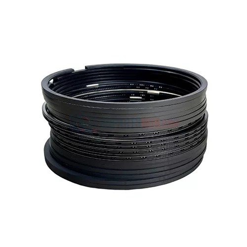 612600030053 Piston Ring Set